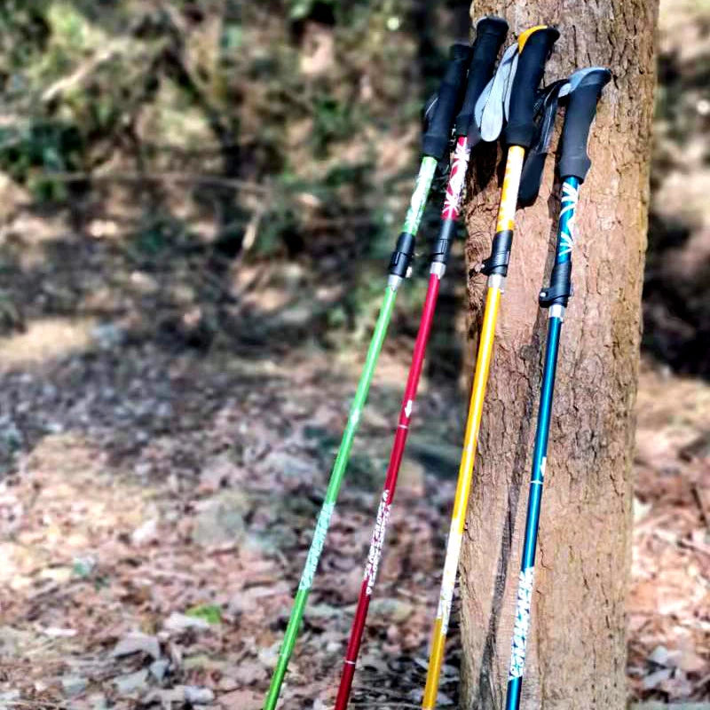 5 Section Trekking Pole