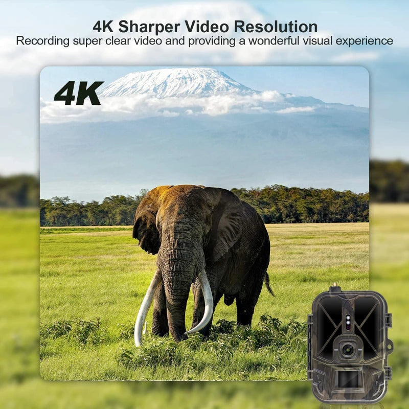 Wireless Waterproof Wildlife 4G HD Trail Camera